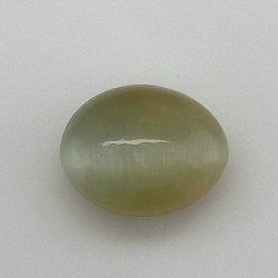 Cat's Eye Apetite 7.11 Ct Gem Quality
